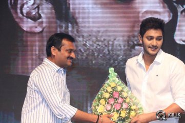 Nee Jathaga Nenundali Movie Audio Launch